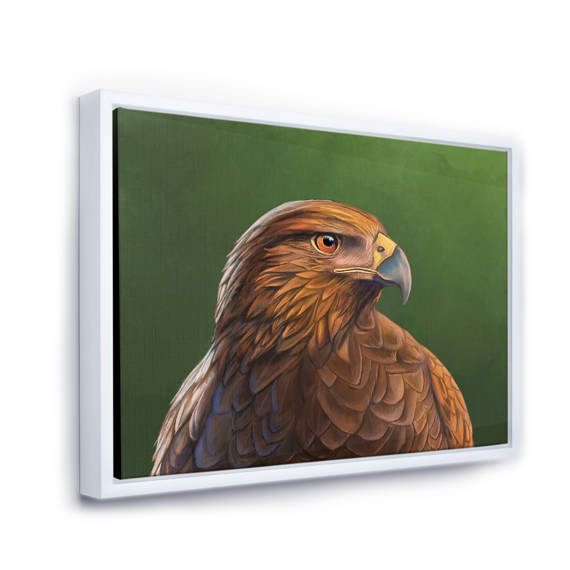 Designart 'Close UP Of Harris Hawk Bird' Traditional Framed Canvas Wall Art Print