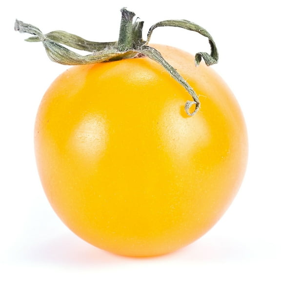 Tomato Seeds - Sunray - 300 Mg Packet ~70 Seeds - Solanum lycopersicum - Non-GMO, Heirloom - Farm & Vegetable Garden