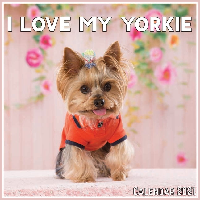 I Love My Yorkie Calendar 2021: Official I Love My Yorkie Calendar 2021 I Love My Yorkie Calendar 2021: Official I Love My Yorkie Calendar 2021