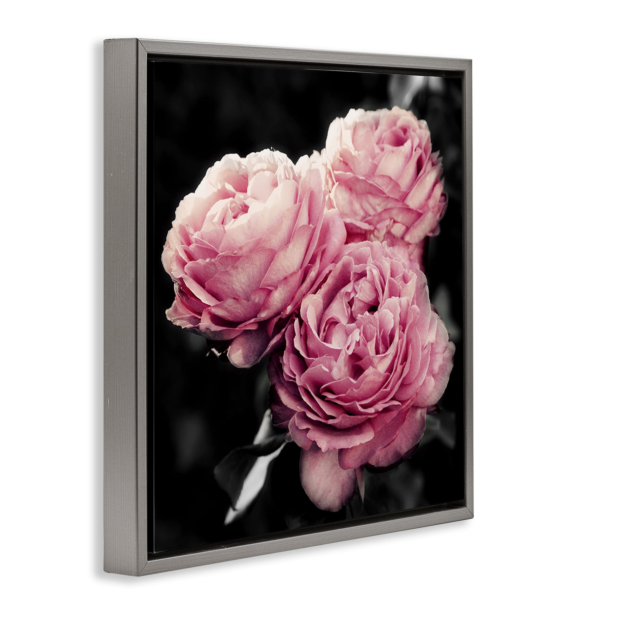 Stupell Industries Full Blooming Roses Plants & Flowers Photography Gray Floater Framed Canvas Art Print Wall Art, 18 x 18