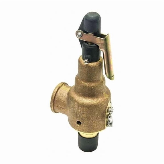 Kunkle Valve Safety Relief Valve, 1in.x1-1/4in., 150psi 6010FEM01AAM0150