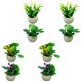 thumbnail image 3 of 8 Uds. De plantas en miniatura, casa pequeña, Mini plantas en maceta, Mini adorno para el hogar, decoraciones de mesa, 3 of 8