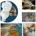 thumbnail image 4 of Opción de iluminación natural para reptiles del desierto, luz UVB para reptiles que produce vitamina D3, luz UVB de alta intensidad para un crecimiento óseo saludable y absorción de calcio, bombilla, 4 of 6