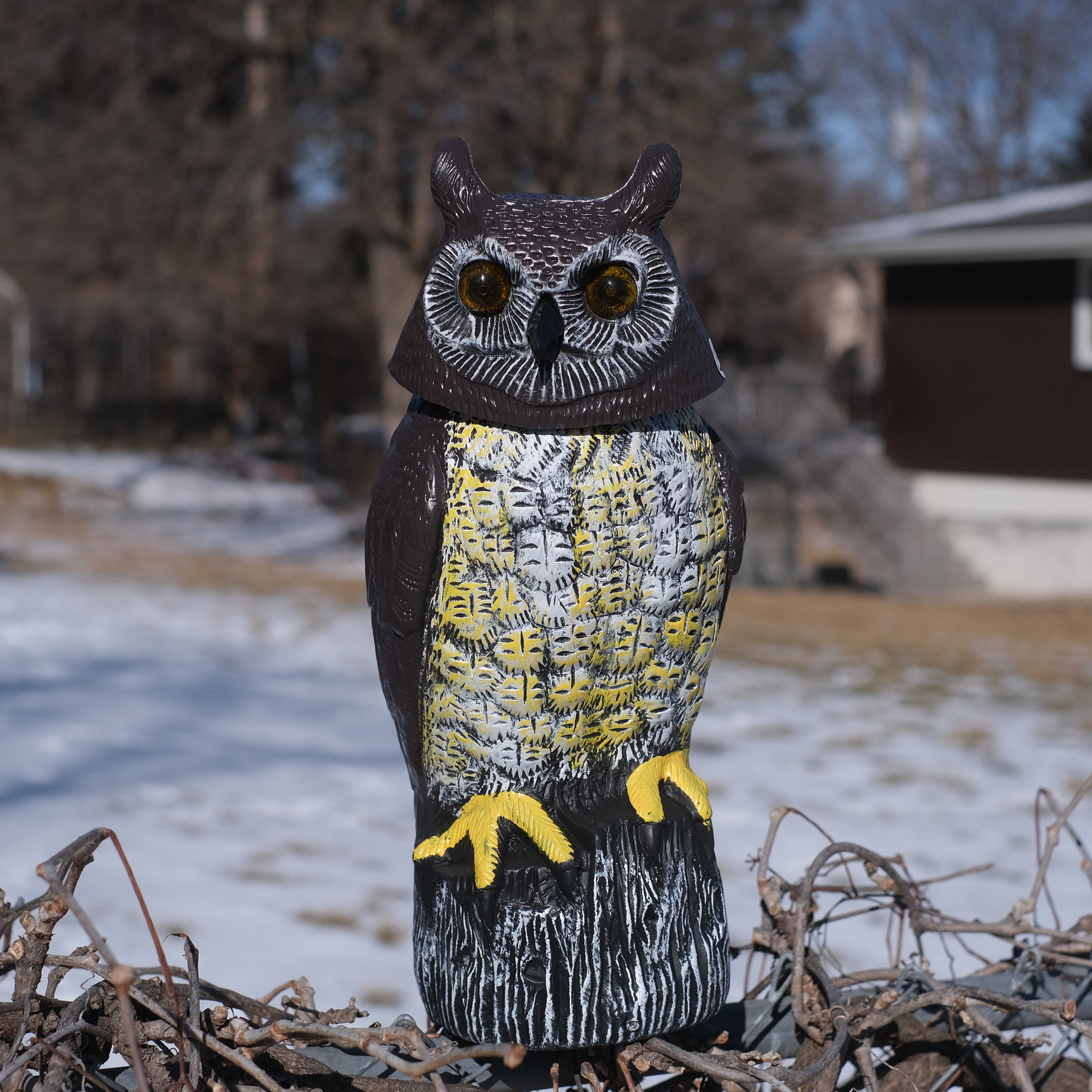 owl nanny cam