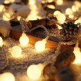 thumbnail image 2 of Guirnalda de luces LED con pilas y bolas de globo, cadena de hadas, 2 of 5