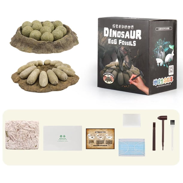 Sanxingdui-juguetes de excavación para niños, huevo de dinosaurio fósil, juguete de excavación arqueológica, experimento de enseñanza Diy