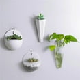 thumbnail image 6 of Wallmounted plastic potted plant flower pots creative wall balcony indoor bonsai, 6 of 6