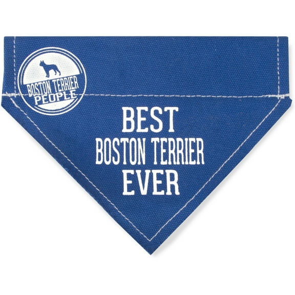 Pavilion Gift Company Pavilion-Best Boston Terrier Ever-Blue Canvas Small Dog Collar-7" x 5" Pet Bandana, 7x5 Inch