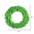 thumbnail image 2 of Vickerman 24" Lime Fir Artificial Christmas Wreath, Unlit, 2 of 2