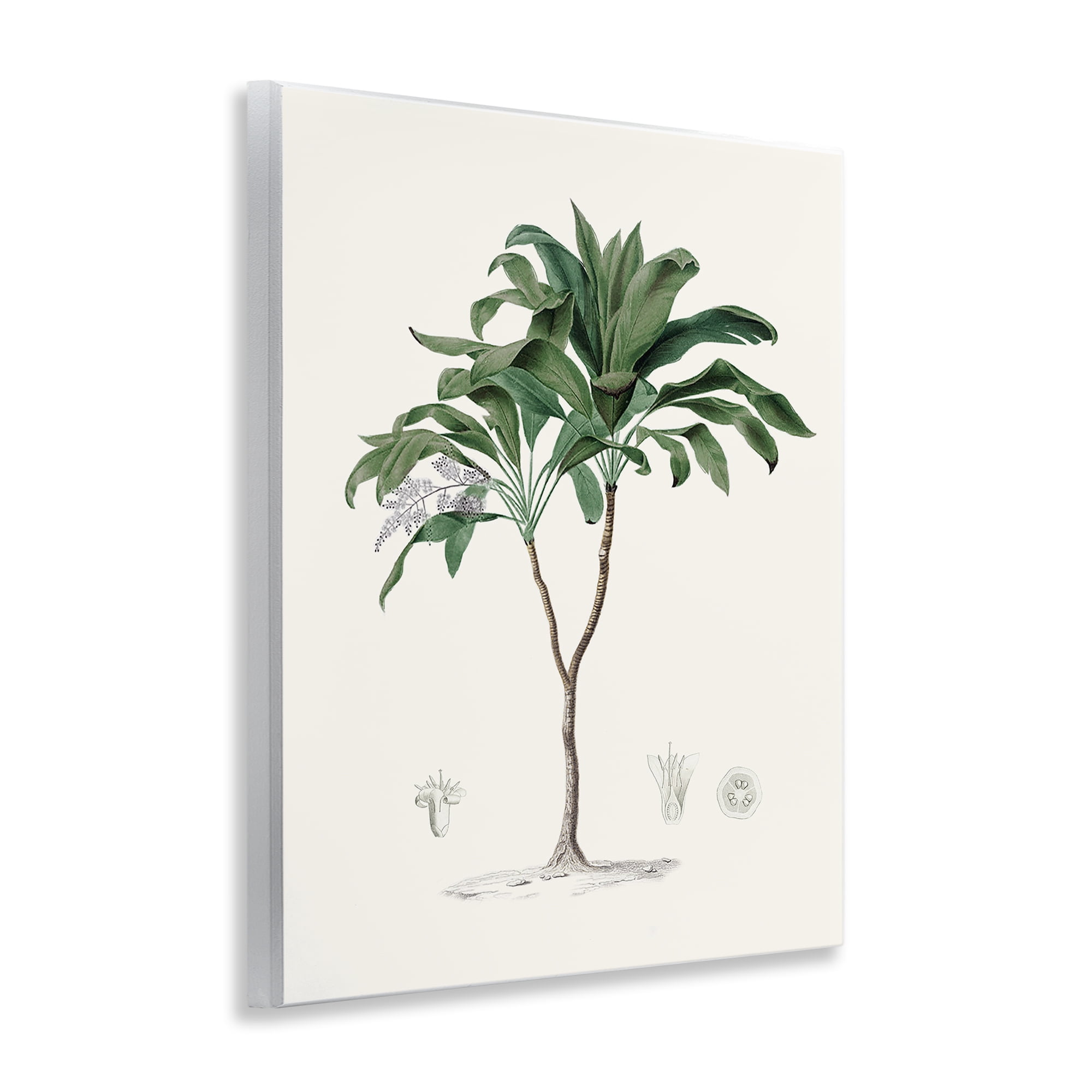 Stupell Industries Coastal Palms Vintage Wall Plaque Art, design by Val Rhodes