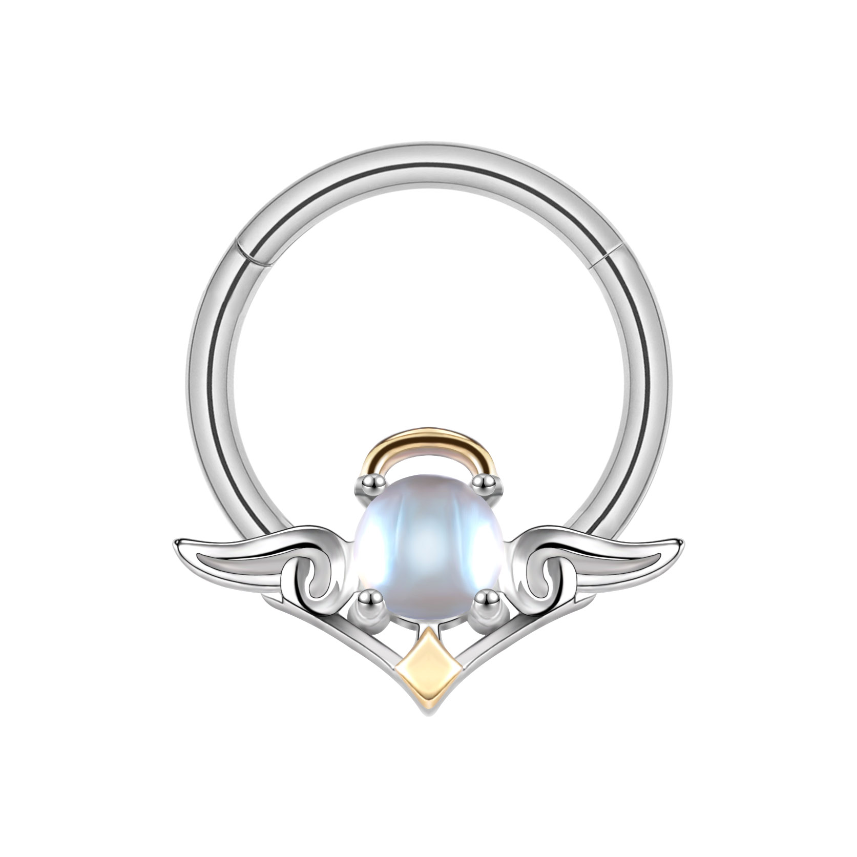 Bijoux Piercing Nez Septum Noël - Acier Inoxydable 16G - Boucles Fer à Cheval & Segment - Cadeau Festif