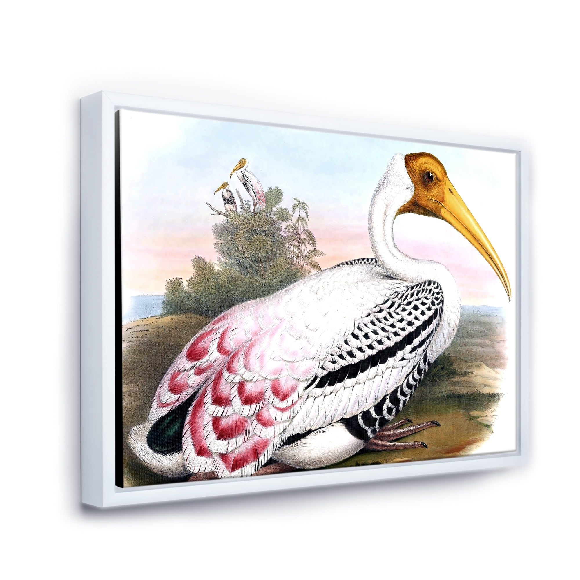 Designart 'Vintage Countryside White Birds' Farmhouse Framed Canvas Wall Art Print