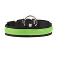 thumbnail image 1 of BKER Pet Glowing Collar LED Light Necklace Dog Lighted Up Colorful Collar For Small Large Medium Dogs, 1 of 1