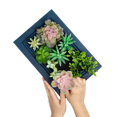 thumbnail image 2 of K-Cliffs DIY Kit, Artificial Succulent Wall Art  Wood Frame with Faux Plants, Hanging Botanical Decoration, Home Decor , Navy Blue, 2 of 8