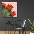 thumbnail image 4 of Epic Art 'Blooming Succulent IV' by Carol Rowan, Acrylic Glass Wall Art, 36"x36", 4 of 8