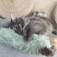 thumbnail image 2 of BESTSKY Interactive Cat Toy,Crinkle Paper Interactive Cat Toys,Fun Scratching Sound Cat Toys Interactive,Green,30.5cm, 2 of 5