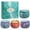 #4-Starry, variant on Cacou 6-Pack Scented Soy Wax Candle Gift Set - 114-Hour Burn Time - Valentine, Christmas, Anniversary Present