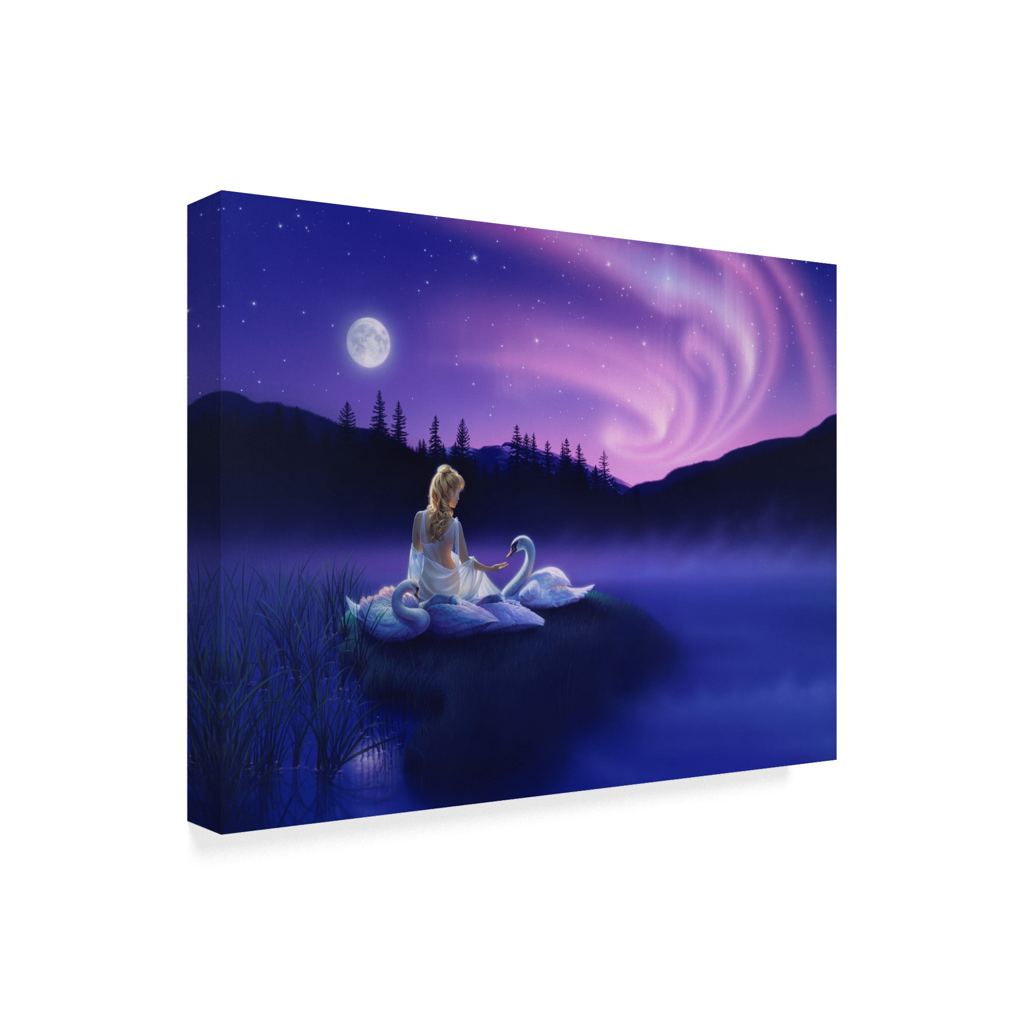 Trademark Fine Art 'Gift Of The Swan' Canvas Art by Kirk Reinert