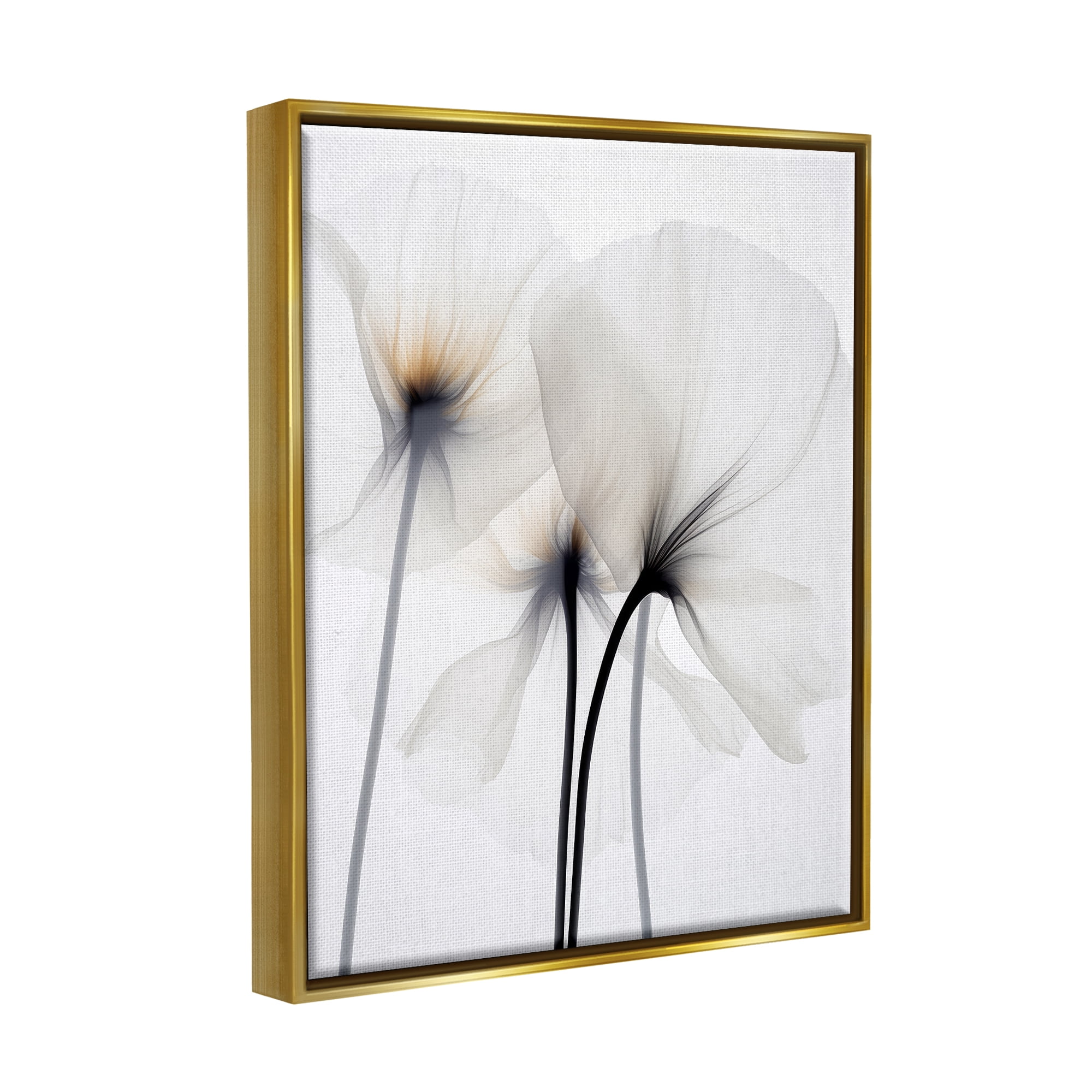 Stupell Industries White Poppy Photography Botanical & Floral Photography Gold Floater Framed Canvas Art Print Wall Art, 25 x 31