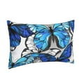 thumbnail image 2 of Balery Blue And White Butterflies Pillow Covers,Bed Pilowcases,Reversible Plush Throw Pillow Covers End Pillow Encasement,Pillow Case - 20"X30", 2 of 9