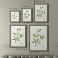 thumbnail image 4 of Herb Sage - Premium Framed Canvas 2 Piece Set - Ready to Hang, 4 of 7