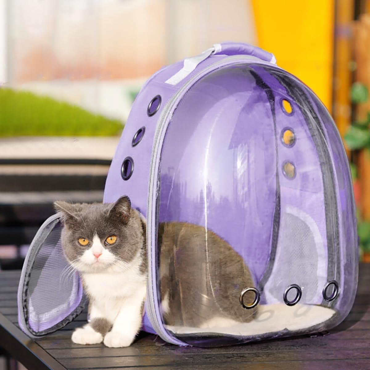 DENZUS Bubble Expandable & Foldable Cat Backpack Carrier, Breathable Pet Backpack for Large Cats, Designed for Hiking, Travelling, Camping
