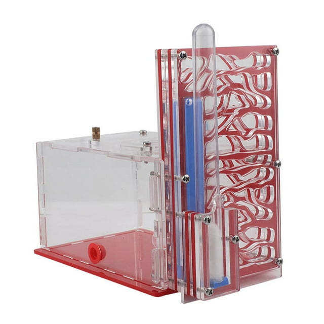 koolsoo ANT Housing Nest Clear Moisture ANT House Nest Box for House Bedroom Kitchen Red