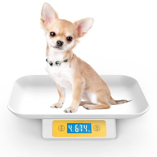 Puppy Scale for Whelping Dogs, Capacity up to 33lbs, Accuracy 1g/0.035oz, Unit g/kg/lb/oz/tl/ml, Yellow, Suitable for Kitten Puppy Rabbit Snake Cats and Small Dogs