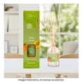 thumbnail image 4 of Difusor Mainstays Twist Frutal 80 Ml, 4 of 4