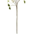 thumbnail image 7 of Northlight Artificial Berry Branch Sprays - 38" - Green and Cream - Set of 4, 7 of 7