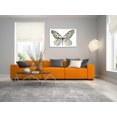 thumbnail image 4 of Epic Art 'Butterfly 3' by Stellar Design Studio, Acrylic Glass Wall Art, 36"x24", 4 of 5