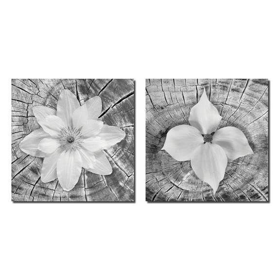Popular Classic Black & White Blooming Floral Photographs; Two 12x12in Poster Prints