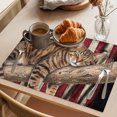 thumbnail image 3 of Sleeping Cat Vintage American Flag Placemats Set of 12 Funny Animal Place Mats Indoor Wipeable Table Mats Washable Cloth Dining Table Placemats for Kitchen Holiday Party Home Decor 13x19 Inch, 3 of 9
