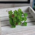 thumbnail image 1 of Micro Landscape Simulation 24 Heads Succulents Home Decoration Fake Plants, 1 of 8