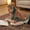 green, variant on Entil Widen Heating Pad for Shoulder and Back with 4 Heating Levels, 2H Auto-off, 25" x 26", Green