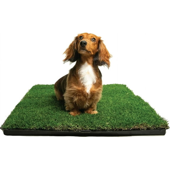 Gotta Go Grass - Dog Natural Grass Patch Potty - Real Dog Grass for Pet Training - Dog Grass Pad with Tray - Puppy Potty Training - Dog Accessories - Perfect Indoor/Outdoor Portable Potty Pet Loo