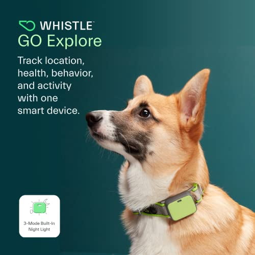 Whistle GO Explore Ultimate Health Location Tracker for Pets