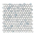 thumbnail image 6 of The Tile Life Eterna Penny 1" x 1" Calacatta Blue Glass Mosaic Floor and Wall Tile, 1 Sheet, 6 of 13