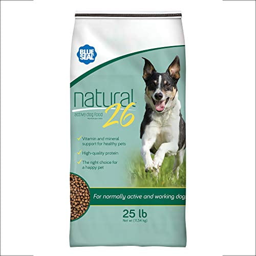 pet gate chewy