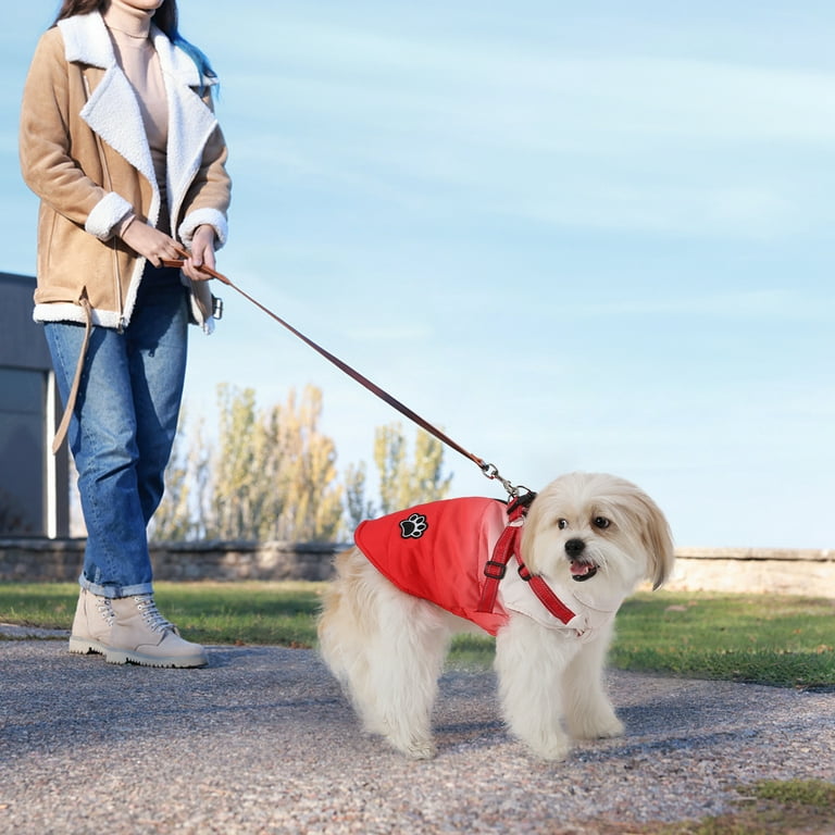 The Best Warm Dog Walking Jeans for Winter - Wear Wag Repeat