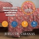 thumbnail image 4 of Juego De Sábanas Hotelera Matrimonial Microfibra Premium MELOCOTTON HOGAR incluye 4 Fundas De almohada Mod-C4, 4 of 5
