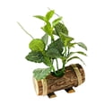 thumbnail image 2 of WLPZXP Artificial Potted Green Plants Greenery with Wooden Trunk Pot Bonsai Mini Potted Style V, 2 of 7