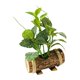 thumbnail image 2 of Plantas artificiales en macetas verdes con tronco de madera, bonsái en maceta. Estilo V, 2 of 7