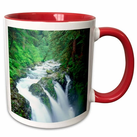 

USA Washington State A waterfall in Olympic National Park. 15oz Two-Tone Red Mug mug-205411-10