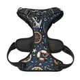thumbnail image 5 of Picia Nautical No-Pull Dog Harness Reflective Front Clip Vest with Handle,Step-in Air Dog Harness,Adjustable 2 Metal Rings 4 Buckles,Easy to Put on & Take Off Small, 5 of 9