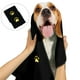 thumbnail image 1 of 2 piezas de microfibra gruesa absorbente para mascotas, toalla de secado rápido para perros y gatos, toalla de baño para mascotas, 1 of 6