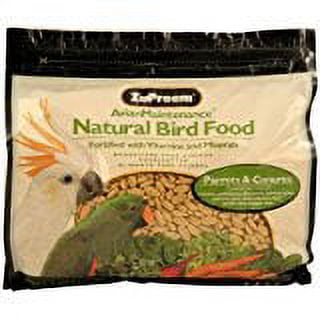 ZP 20LB AM PARROT/CONURE