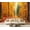 Color1, variant on Peel and Stick Wallpaper Idyllic view Havelh henweg Berlin Germany day late Summer Autumn Modern Art Wall Mural Decor Self Adhesive and Removable 69in x 98in