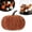 I, variant on Assorted Velvet Artificial Pumpkins Set, Fall & Thanksgiving Farmhouse Table Decor, Soft Fabric Pumpkins for Mantel Tray Shelf Cloche Indoor Home Halloween Centerpiece