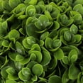 thumbnail image 3 of Bornbridge Artificial Jasper Topiary Ball Tree - 4' - Lifelike Indoor/Outdoor Boxwood Plant (1 Pack), 3 of 3